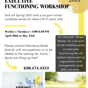 SPRING EXECUTIVE FUNCTION PROGRAM