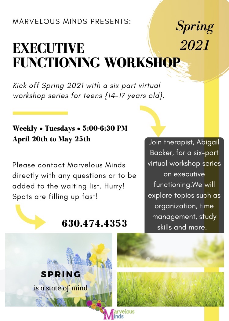 SPRING EXECUTIVE FUNCTION PROGRAM