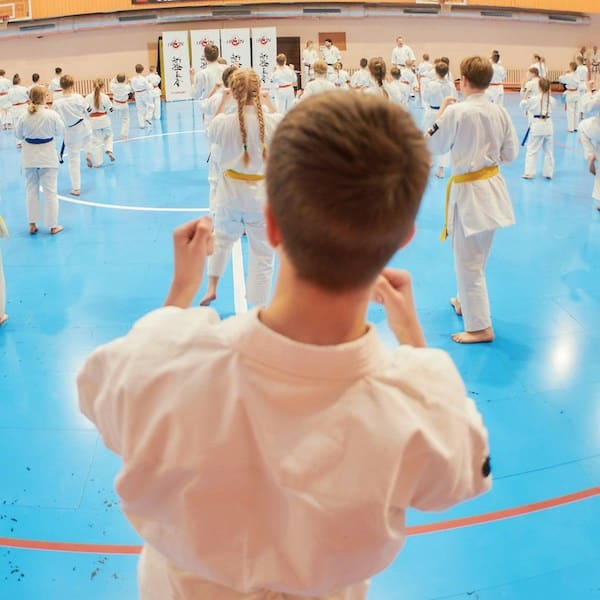 Marvelous Modified Martial Arts